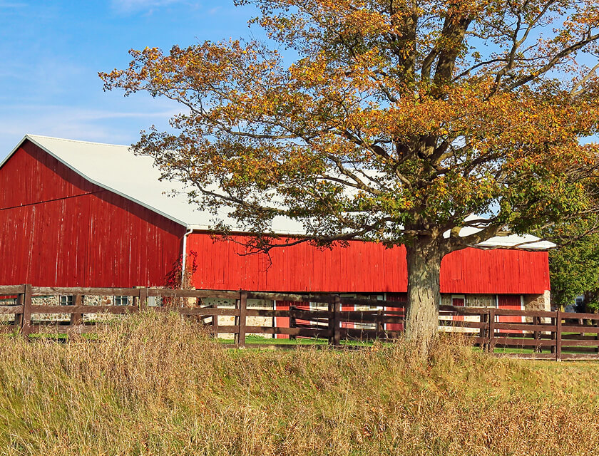 A vibrant red barn with a white roof stands behind a wooden fence, embodying the peace of countryside life and the assurance of robust farm insurance. A large tree with orange and yellow autumn leaves graces the scene, set against a clear blue sky, while a grassy field stretches expansively.