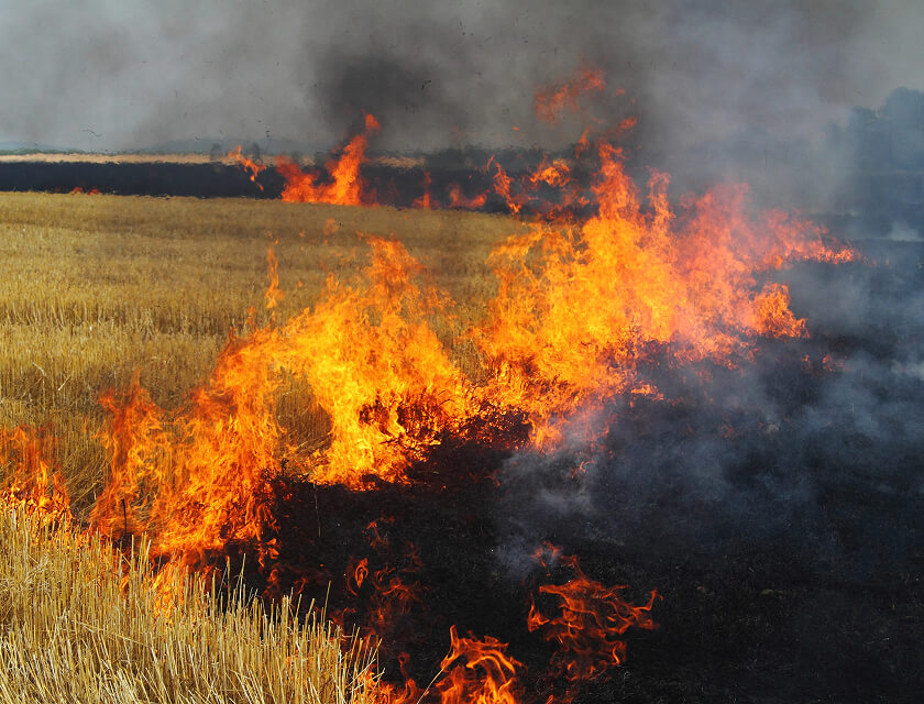 A field ablaze with bright orange flames consumes dry grass, producing thick gray smoke under a clear sky. The fire, a reminder of the vital role of farm insurance, spreads across the landscape, creating stark contrast with the unburnt golden stalks nearby.