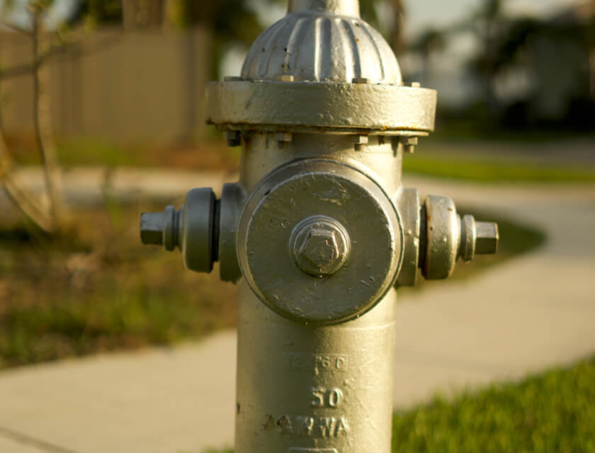 A silver fire hydrant stands proudly on a grassy patch by the sidewalk, its surroundings slightly blurred with trees and a fence under the sunny sky—a reassuring sight for those mindful of residential insurance concerns.