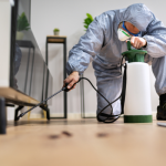 A person wearing a grey protective suit, mask, and goggles is kneeling on a light wooden floor, using a spray wand from a white and green tank to apply a pest control treatment under furniture.